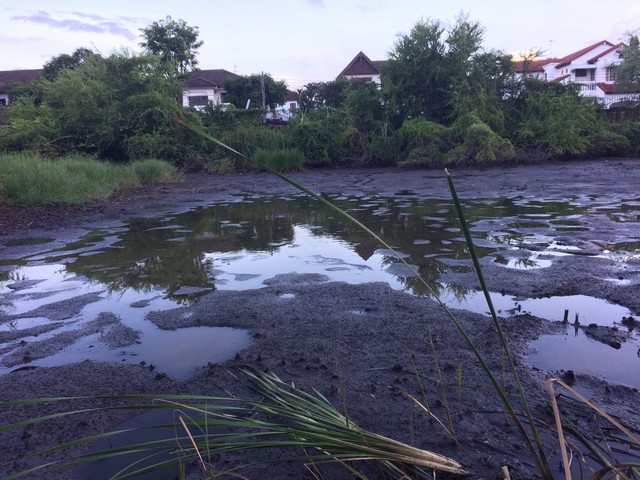 ขายที่ดินเปล่า-เนื้อที่-200-ตรว-ใน-ซศรีด่าน-22-ใกล้-bts-เข้าซอยทะลุ-ถบาง-ตราด-ได้