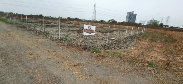 ขายที่ดินเปล่า-เนื้อที่-210-ตรว-ใกล้-ทางด่วน-ใกล้ห้าง-mega-บางนา