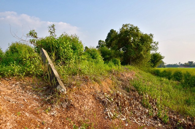 ขายที่ดิน-3-ไร่-ถมแล้ว-ติดถนน-4-เลน-ใกล้-มรามคำแหง-บ้านไผ่-25-กม