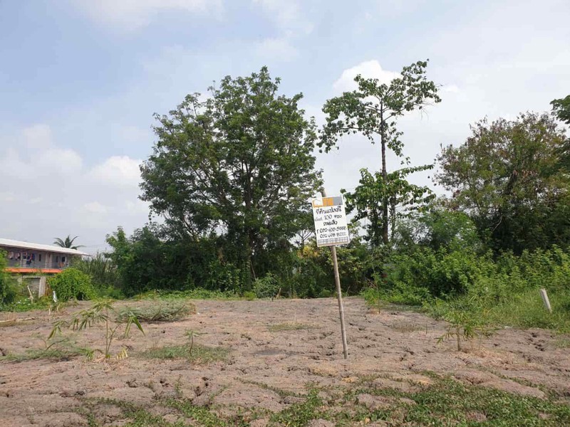 lmpt003-ที่ดินว่างเปล่า-เนื้อที่-0-1-0-ไร่-หรือ-100-ตารางวา-ราคา18-ลบ