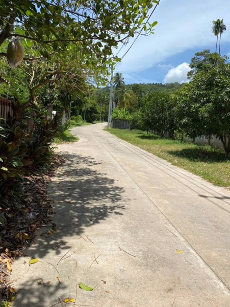 ขายที่ดินสูงสวยวิวทะเล-เกาะสมุย-ไร่ละ29ล้านบาท