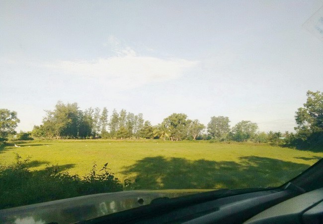 ขาย-ที่ดิน-ใกล้รพยางตลาด-ถนนขอนแก่น-กาฬสินธุ์-อยางตลาด-จกาฬสินธุ์