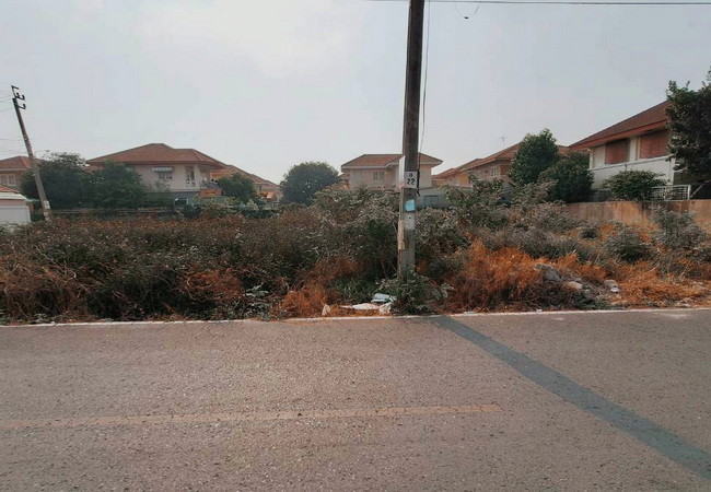 ขายที่ดิน-ซอยลำโพ-21-ถนนกาญจนาภิเษก-ตำบลลำโพ-อำเภอบางบัวทอง-นนทบุรี