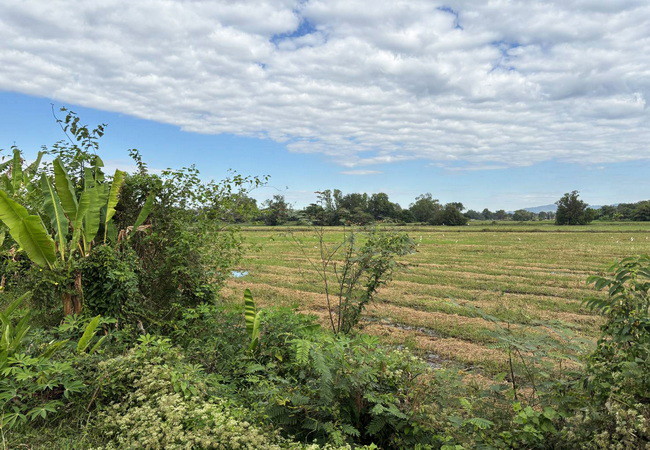 ขายที่ดิน-ตำบลบ้านพร้าว-อำเภอบ้านนา-นครนายก-ถนนสุวรรณศร