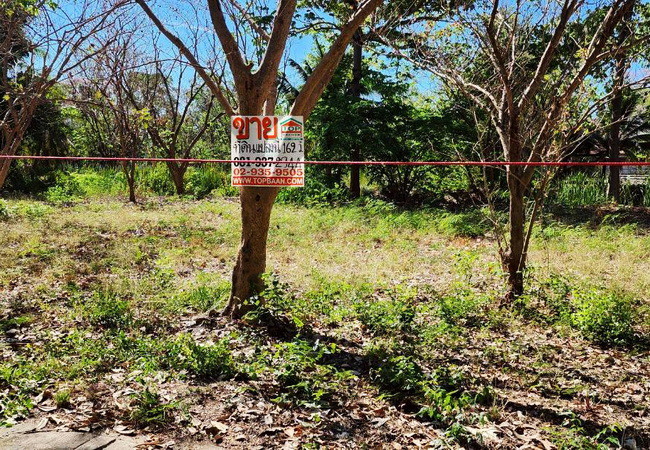 ขายที่ดิน-ในโครงการเจ้าสำราญเลคแอนด์ฮิลล์-ถนนเลียบคลองชลประทานสาย-3-อำเภอเมือง-เพชรบุรี