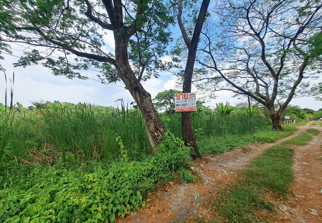 ขายที่ดิน-ตรงข้ามซอยนครลุง-9-ถนนพุทธมณฑลสาย-2-เขตบางแค-กรุงเทพมหานคร