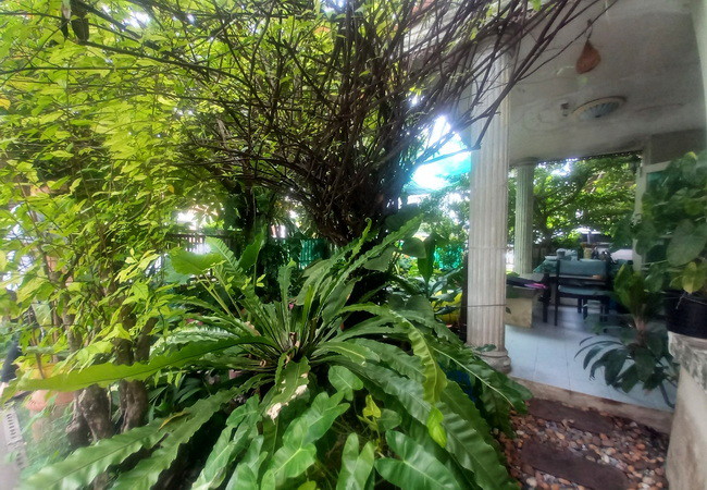 ขายบ้านเดี่ยว-หมู่บ้านวราภิรมย์-วัชรพล-ถนนสุขาภิบาล-5-เนื้อที่-528-ตรว-2-ชั้น-3-นอน-3-น้ำ