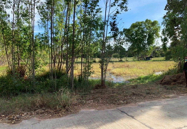 ขายที่ดิน-ตำบลในเมือง-อำเภอพิมาย-นครราชสีมา-ถนน206-เนื้อที่-647-ตรว