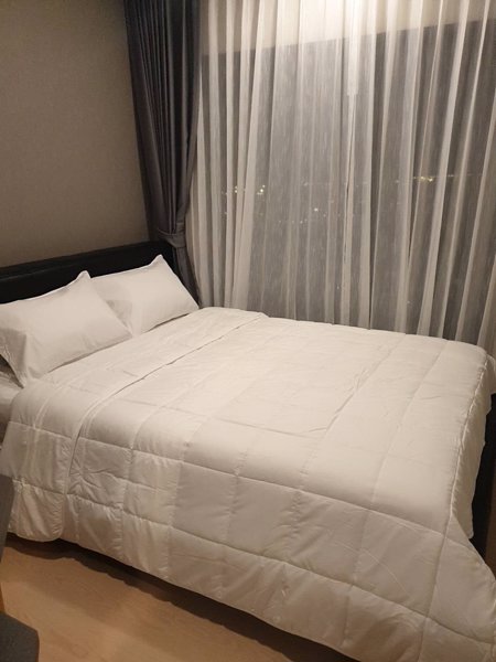 ให้เช่า-คอนโด-the-tree-สุขุมวิท-71-เอกมัย-ใกล้-แอร์พอตลิงค์-รามคำแหง-13-k-