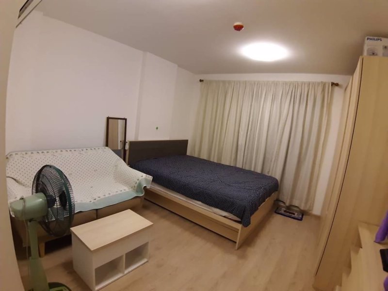 ให้เช่า-คอนโด-elio-del-ray-สุขุมวิท64-ใกล้-bts-อุดมสุข-85-k-