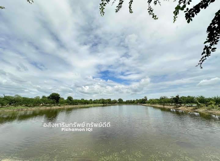 ขายด่วน-ที่ดิน-พร้อมบ้าน-บ่อปลา-