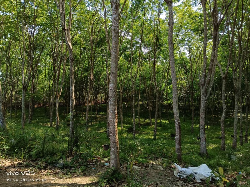 ขายที่ดิน-อโป่งน้ำร้อน-จจันทบุรี-ไร่ละ-176000-บาท