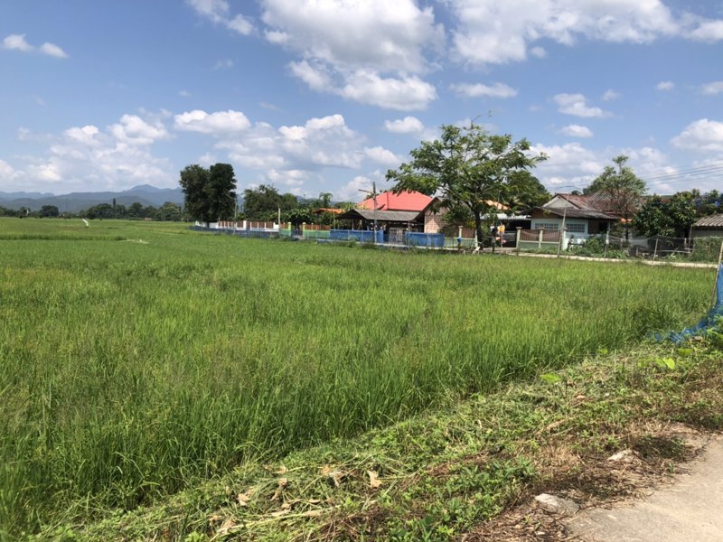 ขายที่ดินเปล่า-ห่างจากตัวอำเภอพร้าว-3-กิโลเมตร-เชียงใหม่