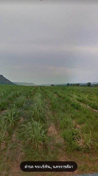 ขายที่ดิน-ภบท5-หน้ากว้างติดถนน-มีไฟฟ้าผ่าน-ครบุรี-นครราชสีมา