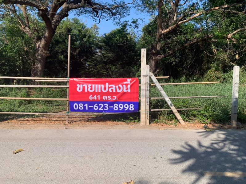 ขายที่ดิน-641-ตรว-หน้าติดถนน-หลังติดแม่น้ำเจ้าพระยา-ที่ดินเข้าได้-2-ทาง-อยุธยา