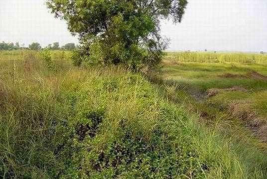 ที่ติดถนนใหญ่-หัวหิน-หน้ากว้าง-150-ม-ที่วิวภูเขา-ประจวบคีรีขันธ์-57-ไร่