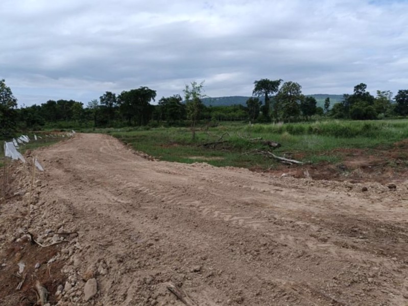 ขายที่ดินทำบ้าน-เนื้อที่50ตรว-ราคา55000บาท