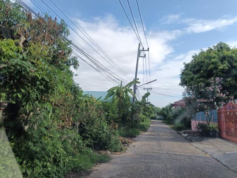 ขายที่ดินบ้านกุดจิก100ตรวราคา150000บาท