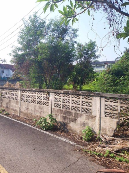 ขายที่ดินทำบ้านพัก-ติดถนนคอนกรีต