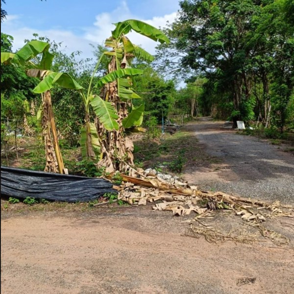 ขายที่ดินติดรั้วรพศูนย์มะเร็งอุดร138ตรว