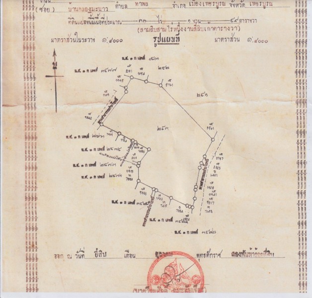 ขายที่ดิน-โครงการ-เขาค้อ-แกรนด์วิลล์