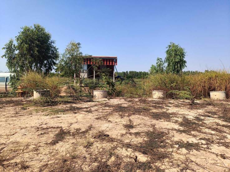 ขายที่ดินพร้อมสิ่งปลูกสร้าง ใกล้แหล่งชุมชน อำเภอพังโคน สกลนคร