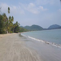 ขายที่ดิน-ติดหาดทรายรี-17-ไร่-347-ตรวา