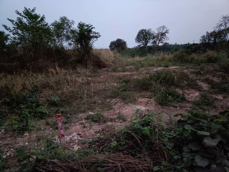 ขายที่ดินทำสวย-6ไร่-3งาน-31ตรว-อยู่ท้ายบ้านห้วยพิชัย