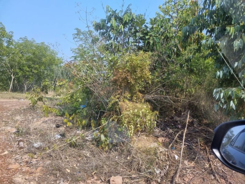 ขายที่ดินทำโคกหนองนา10ไร่-ใกล้ชุมชนบ้านนาจาน