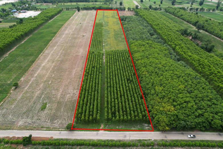 ขายที่ดินสวยราคาถูก-ในตำบลไตรตรึงษ์-อำเภอเมืองกำแพงเพชร-ติดถนนสองด้าน-ติดทางสาธารณะ