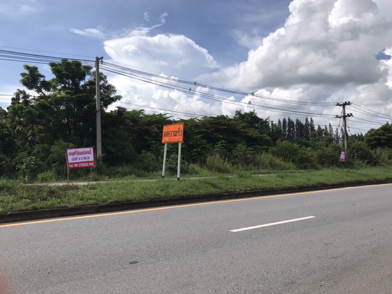 ขายที่ดินติดถนนสาย-201-ชัยภูมิ-สีคิ้ว-4-ไร่-2-งาน-55-ตรวา-หน้ากว้าง-วางผังง่าย