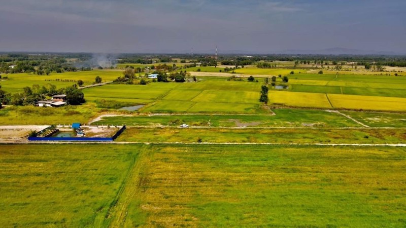 ขายที่ดินบ้านนา-โยธาธิการ-เงินผ่อน-20-เดือน