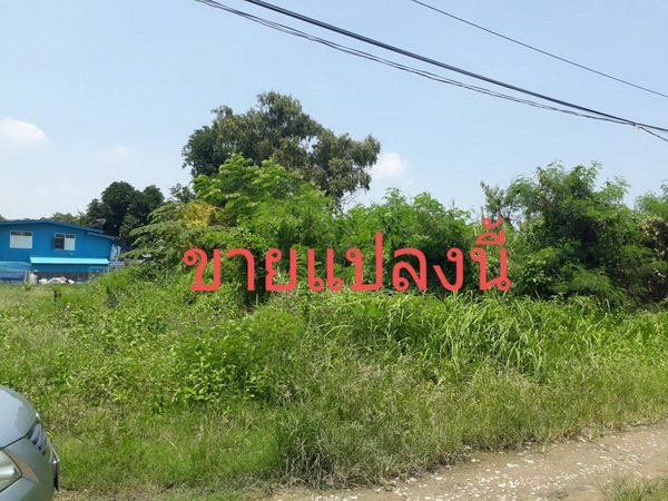 ขายที่ดินถมแล้ว-เนื้อที่-550-ตารางวา-ซอยอ่อนนุช-80-ปากซอยเป็น-ห้างโลตัส