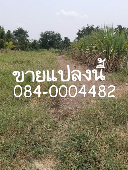 ขายที่ดินถมแล้ว-เนื้อที่-200-ตารางวา-ซอยเชื่อมสัมพันธ์-21-เขตหนองจอก