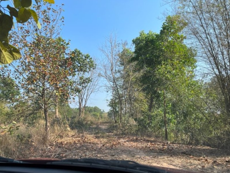 ขายที่ดิน-2-ไร่-2งาน-53ตรว-ราคา-390000-บาท