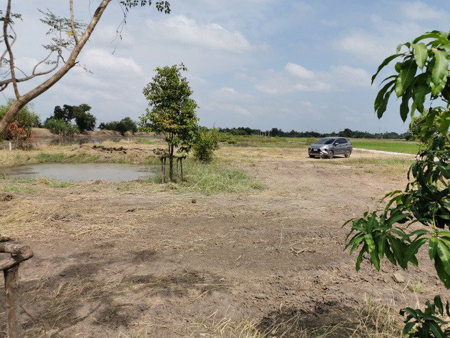 ขายที่ดินเปล่าถมแล้ว-ซอยวัดสุขใจ-15-คลองสามวา-กรุงเทพฯ