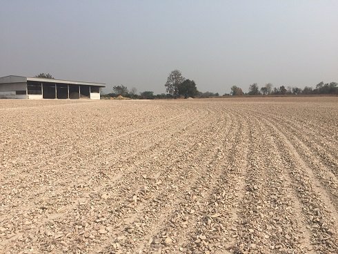 ขายกิจการ-70-ล้านบาท-หรือ-หานายทุน-ร่วมลงทุน-โรงงานผลิต-แปรรูปมันเส้น-ส่งออก