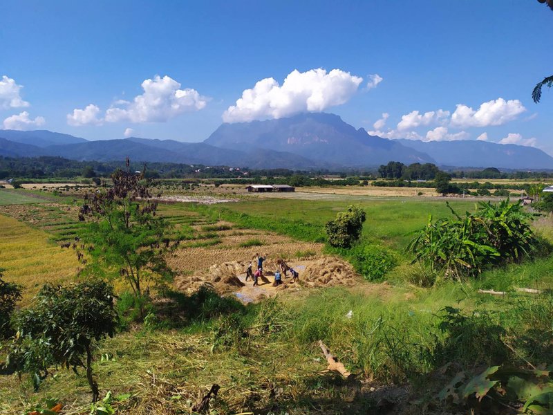 ขายที่ดิน-2-ไร่-3-งาน-86-ตารางวา-เชียงดาว-เชียงใหม่