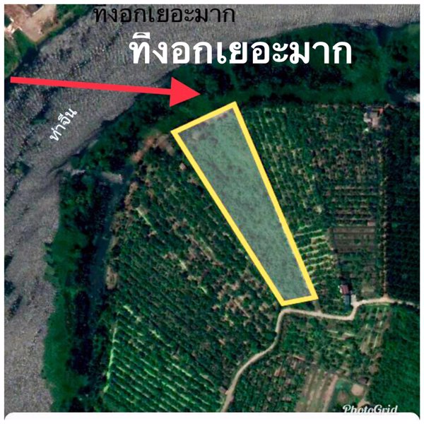 ขายที่ดินติดแม่น้ำท่าจีน-ฝั่งแหลมดินงอก-กระทุ่มแบน-สมุทรสาคร-เจ้าของขายเอง