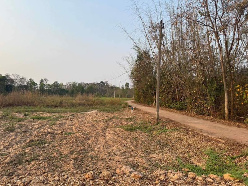 ขายที่ดินติดถนนคอนกรีต มีไฟฟ้า250ตรว .ราคา370,000บาท