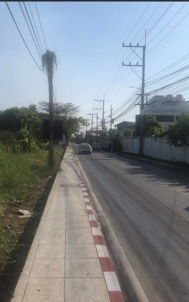 ขายถูก-ที่ดิน-ริมถนนเมน-เลียบ-คลอง4-ธัญบุรีราคาถูกกกก