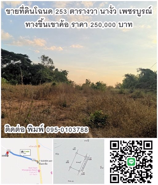 ขายที่ดินโฉนด-253-ตารางวา-นางั่ว-เพชรบูรณ์-ทางขึ้นเขาค้อ-ผ่อนตรงกับเจ้าของได้-แปลงสี่เหลี่ยม-ทำเลดี