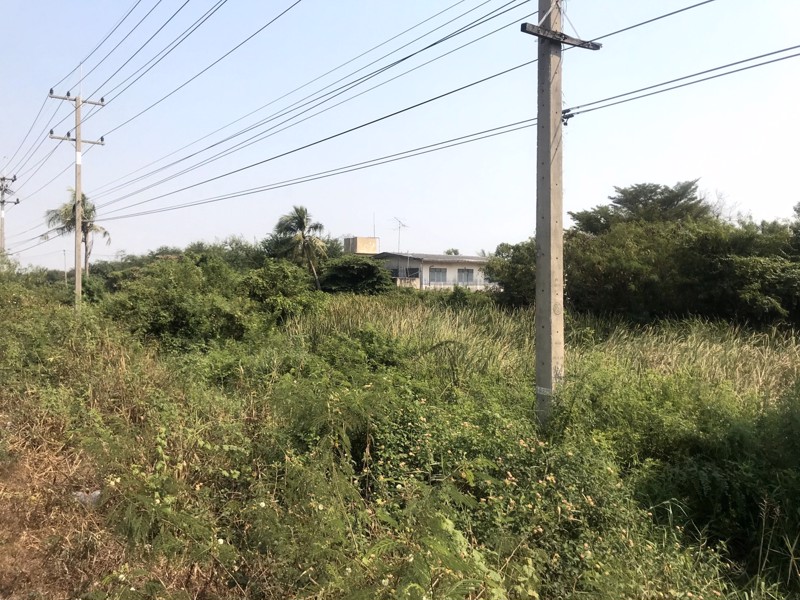 ที่ดินเปล่า-15-แปลง-ทรัพย์เดียวกัน-บนเนื้อที่-150-ไร่