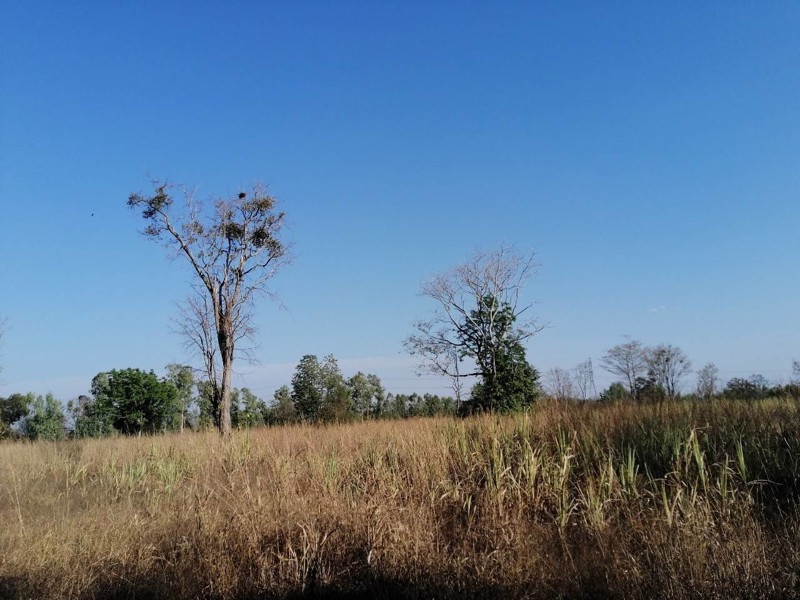 ขายที่ดิน-แปลงสวยราคาดี-เจ้าของขายเอง-งดรับนายหน้า-