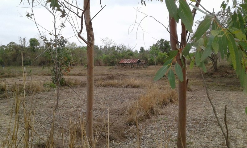 ขายทิ่ดินสวย-36-ไร่ติดทางสาธารณะ-จังหวัดสกลนค