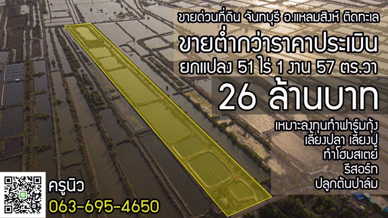 ขายด่วนที่ดินยกแปลง-51-ไร่-1-งาน-57-ตรวา-อแหลมสิงห์-จจันทบุรี-ติดทะเล