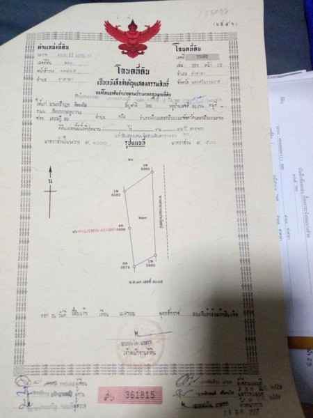 ขายที่ดิน-หน้ามหาวิทยาลัยวลัยลักษณ์-ท่าศาลา-นครศรีธรรมราช