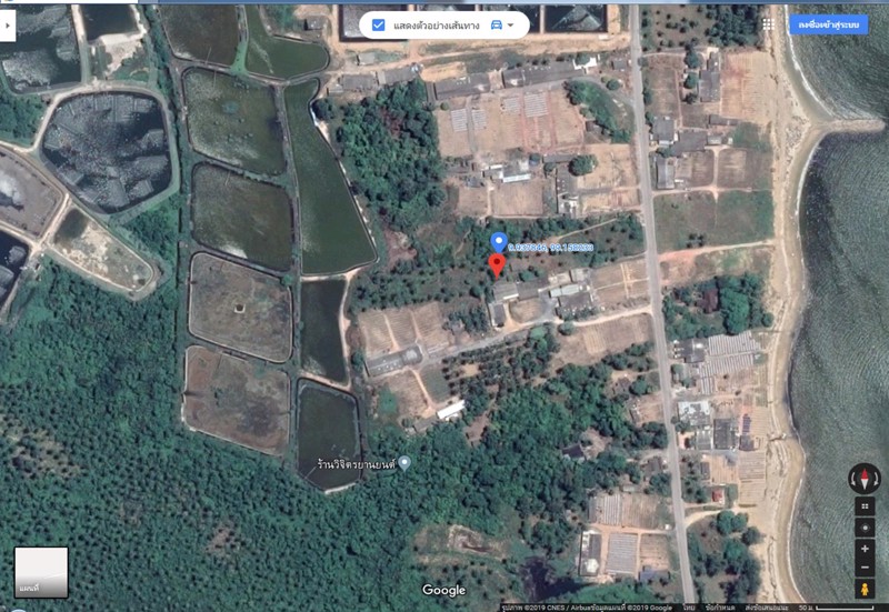 ขาย-ที่ดิน-เปล่า-2-งาน-168-ตารางวา-หลังสวน-ชุมพร