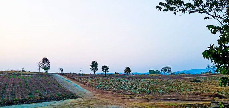 แบ่งขาย-ที่ดินเปล่า-เนื้อที่-78-ไร่-ราคาขายขั้นต่ำ-2200-บาท-ต่อตรว-แม่จัน-เชียงราย