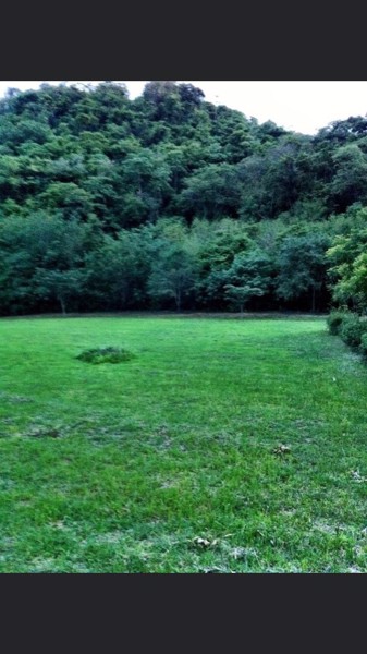 ขายที่ดิน-1-ไร่-ตำบลหนองน้ำแดง-อำเภอปากช่อง-นครราชสีมา